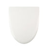 Toilet Seat (Buxton II, Kane)